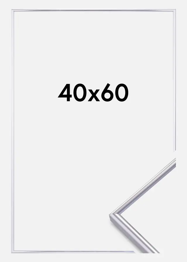 Focus Frame Can-Can Silver 40x60 cm