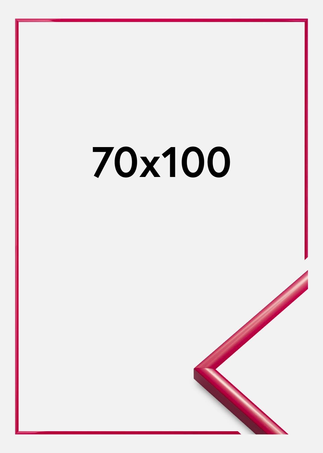 Product Image for Frame New Lifestyle Acrylic Glass Rose 70x100 cm