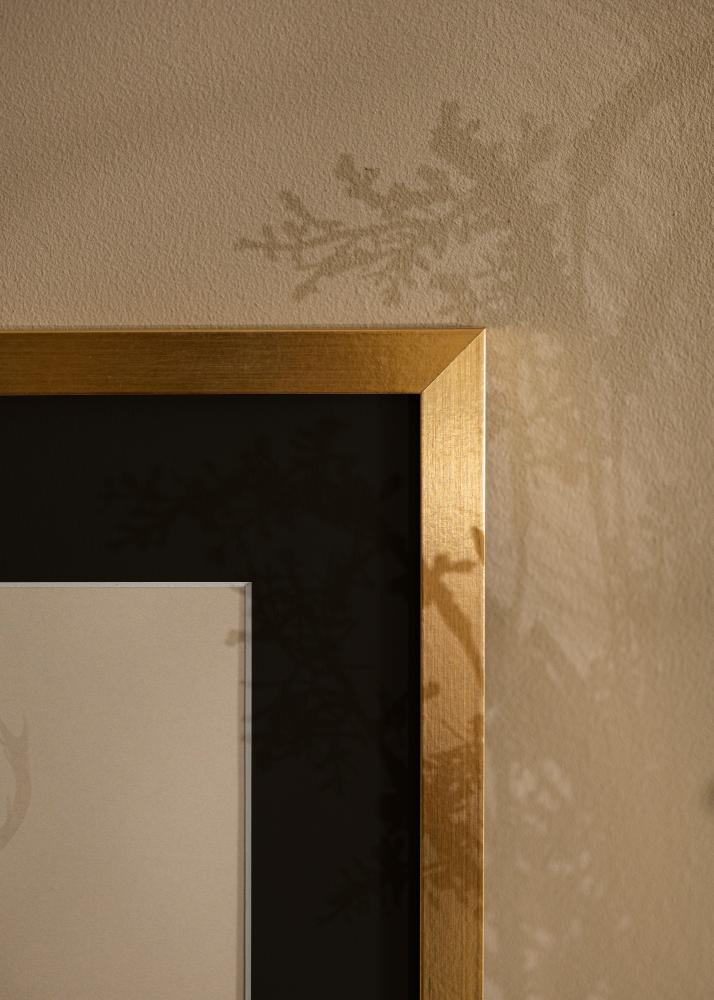 Ram med passepartou Frame Selection Gold 70x100 cm - Picture Mount Black 62x93 cm