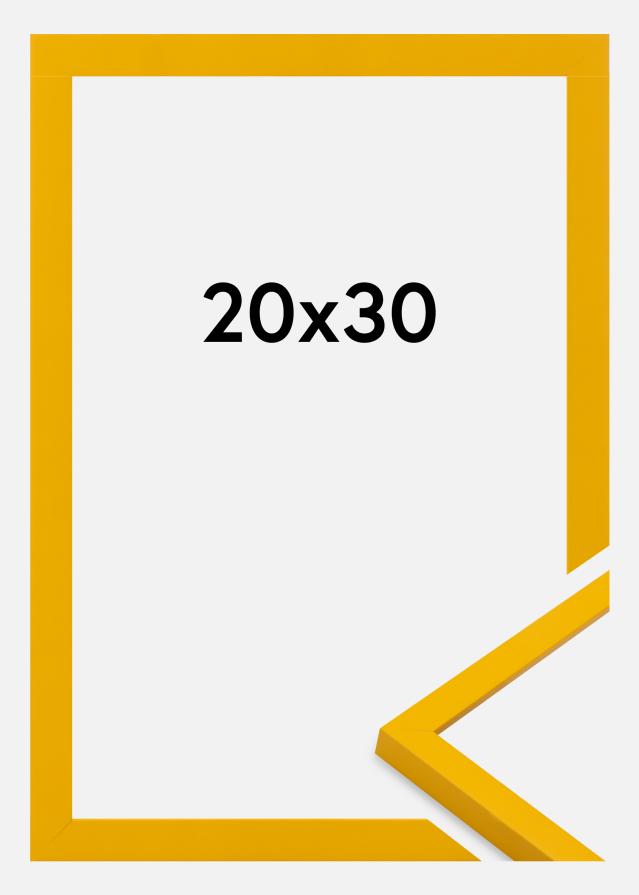 Jämtlands Ramfabrik Frame Kent Acrylic Glass Gold 20x30 cm