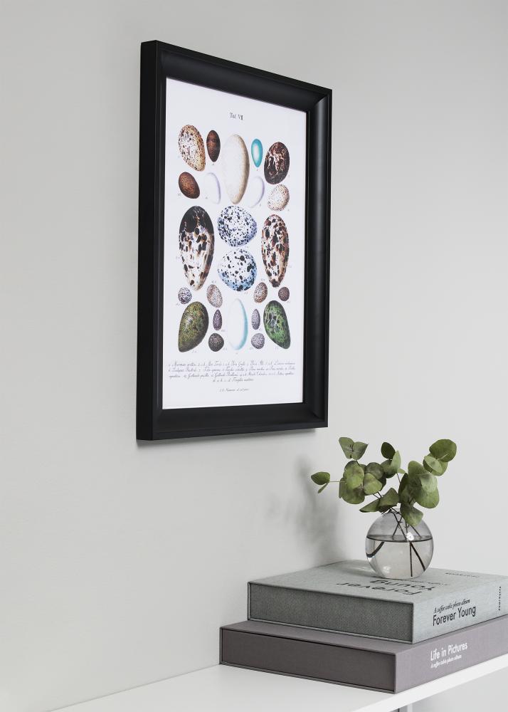Ram med passepartou Frame Öjaren Black 45x60 cm - Picture Mount Black 12x18 inches