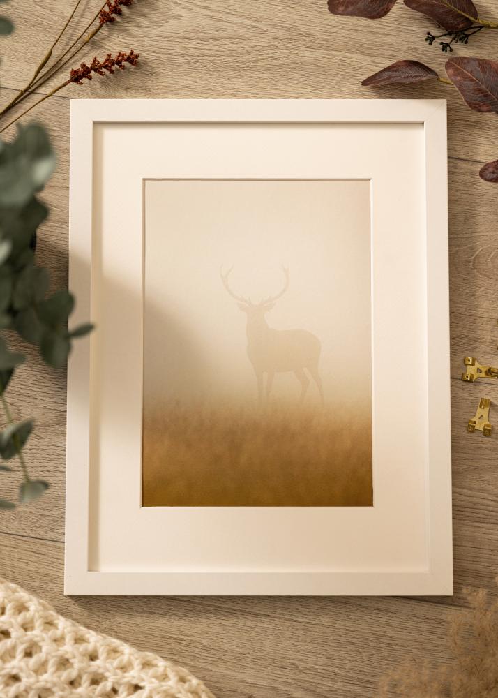 BGA Frame Deco Acrylic Glass White 50x70 cm