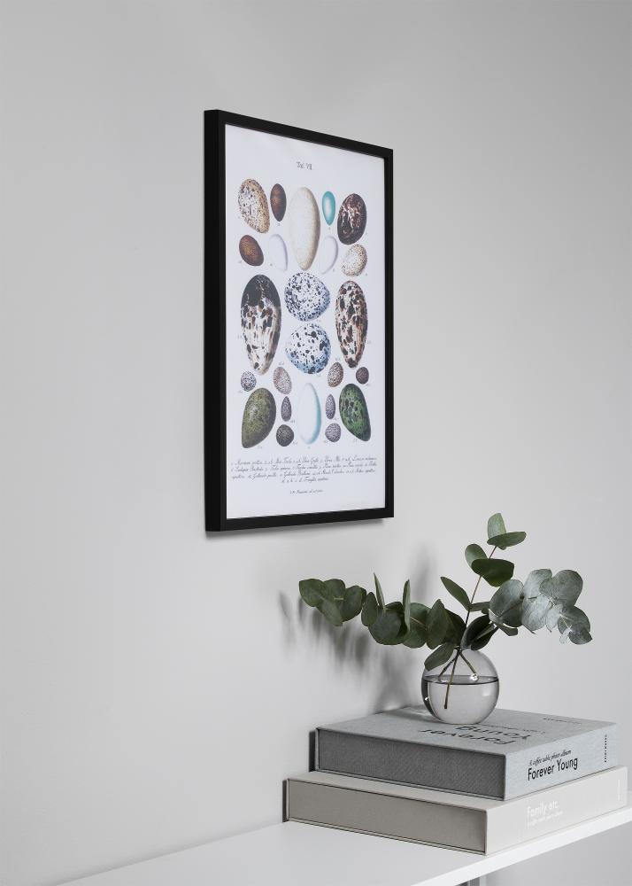 Ram med passepartou Frame Oslo Black 60x60 cm - Picture Mount Black 50x50 cm