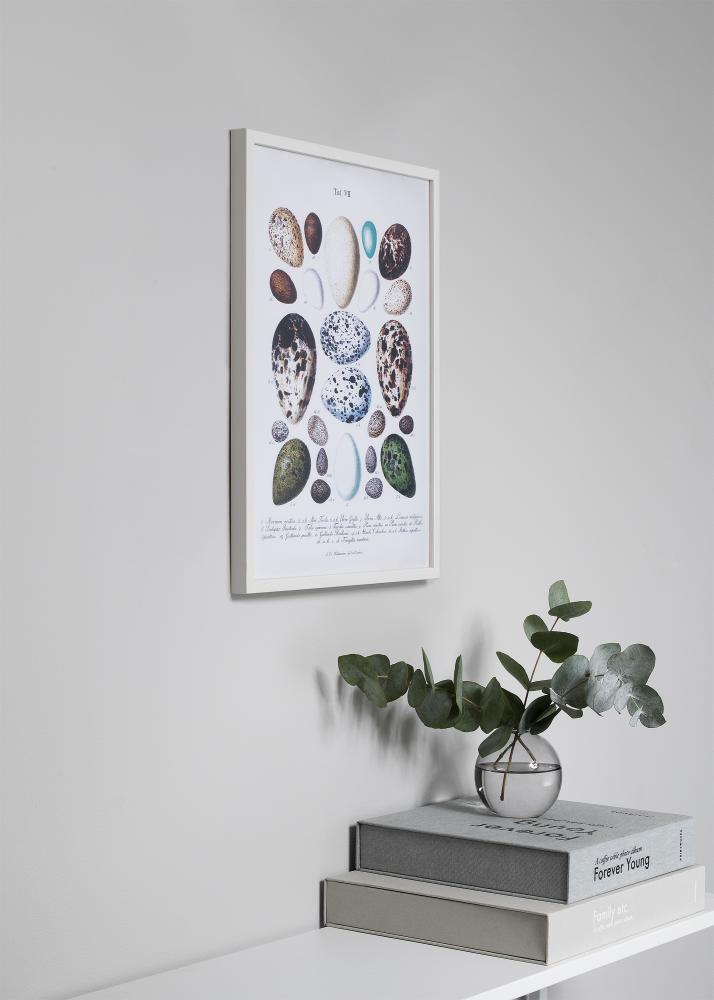 Ram med passepartou Frame Oslo White 60x60 cm - Picture Mount Black 50x50 cm