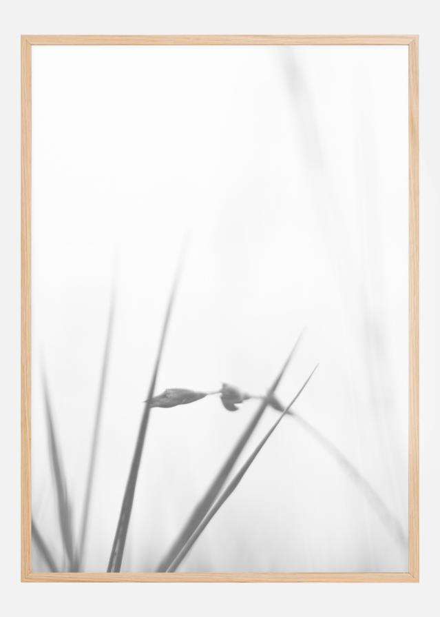 Bildverkstad Fog Poster