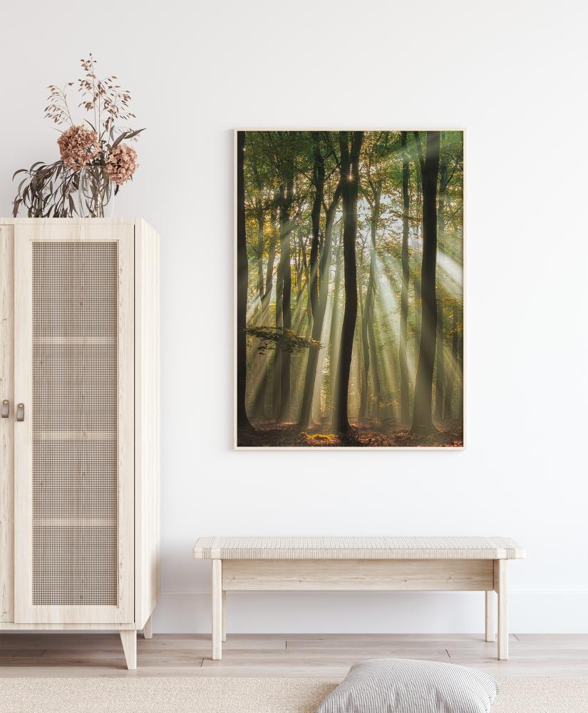 Bildverkstad Sunny Start To The Day Poster