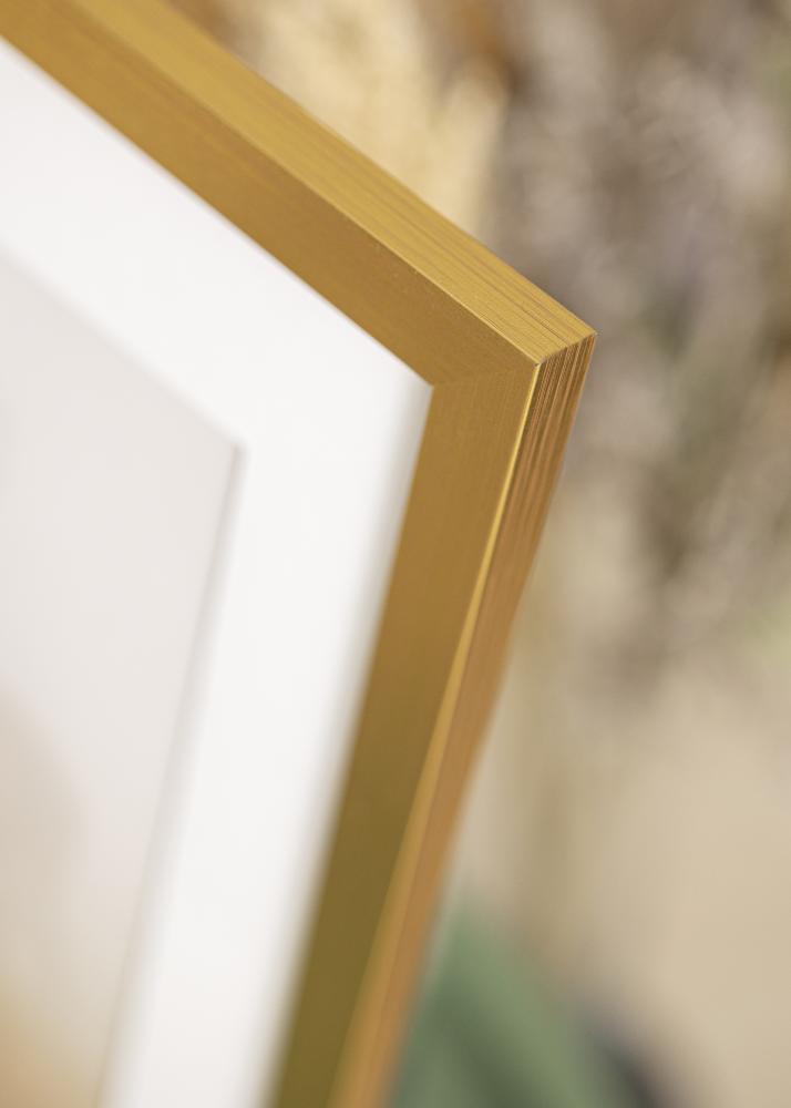 Galleri 1 Frame Gold Wood Acrylic glass 70x90 cm