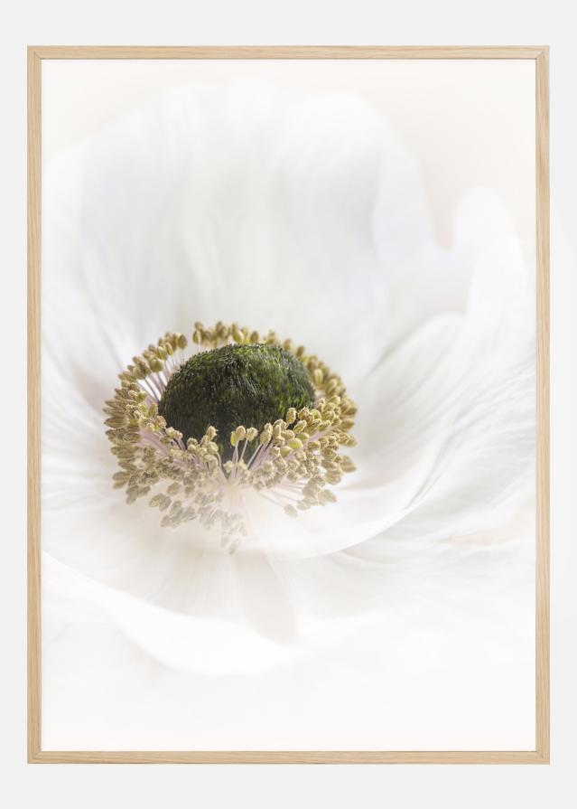 Bildverkstad Pure Poster