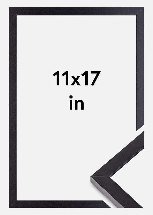 BGA Frame Selection Acrylic Glass Black 11x17 inches (27,94x43,18 cm)