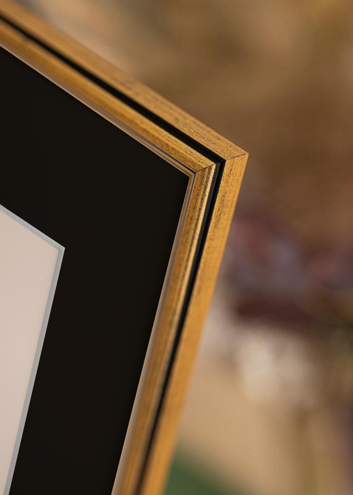 Ram med passepartou Frame Horndal Gold 18x24 cm - Picture Mount Black 13x18 cm
