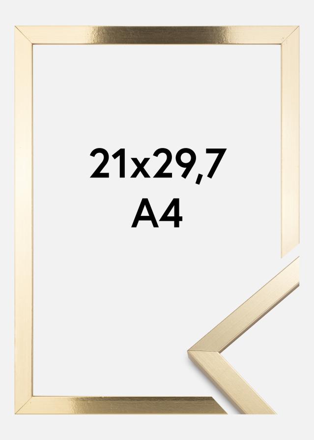 BGA Frame Trendy Acrylic Glass Gold 21x29.7 cm (A4)