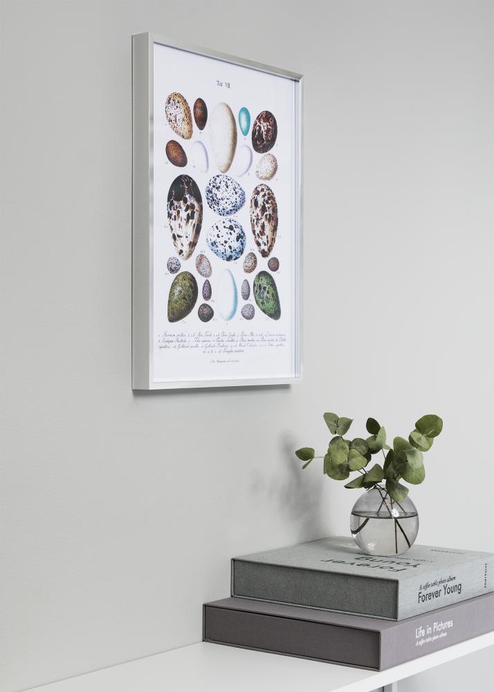 Nielsen Frame Nielsen Premium Alpha Glossy Silver 50x60 cm