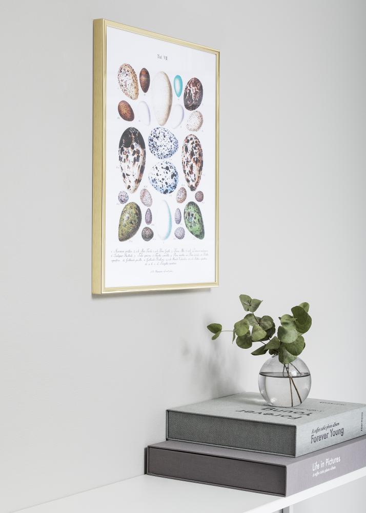 Estancia Frame Nielsen Premium Classic Gold 29,7x42 cm (A3)