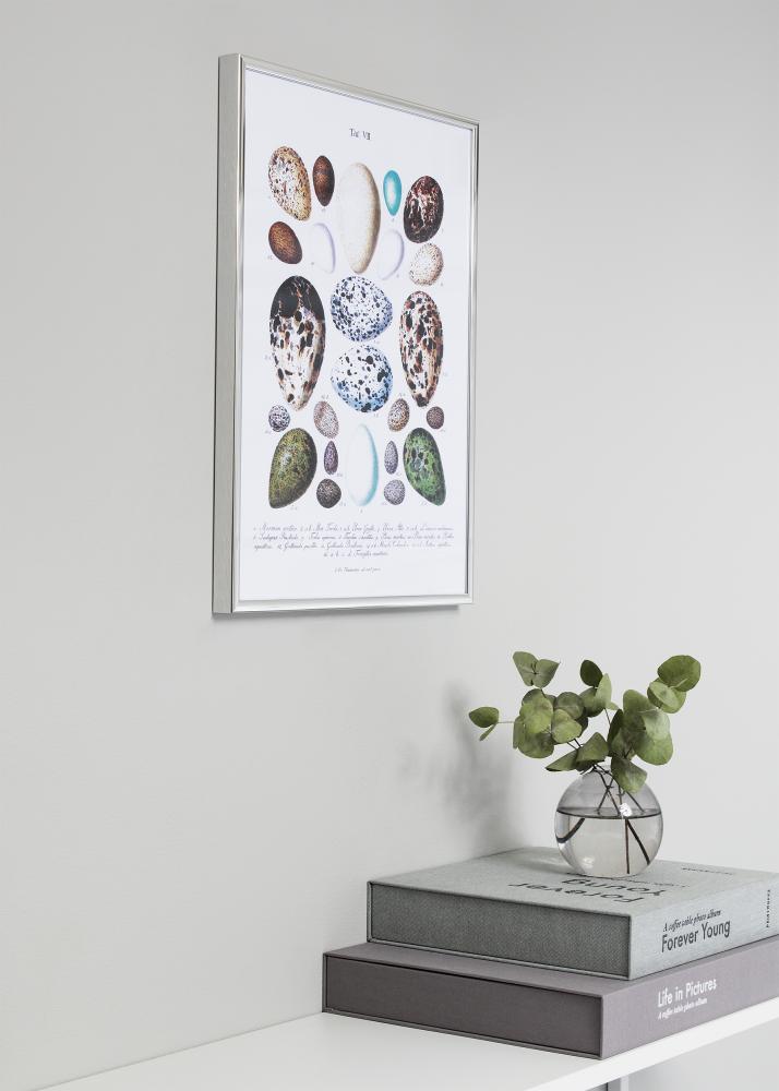 Nielsen Frame Nielsen Premium Classic Silver 50x60 cm