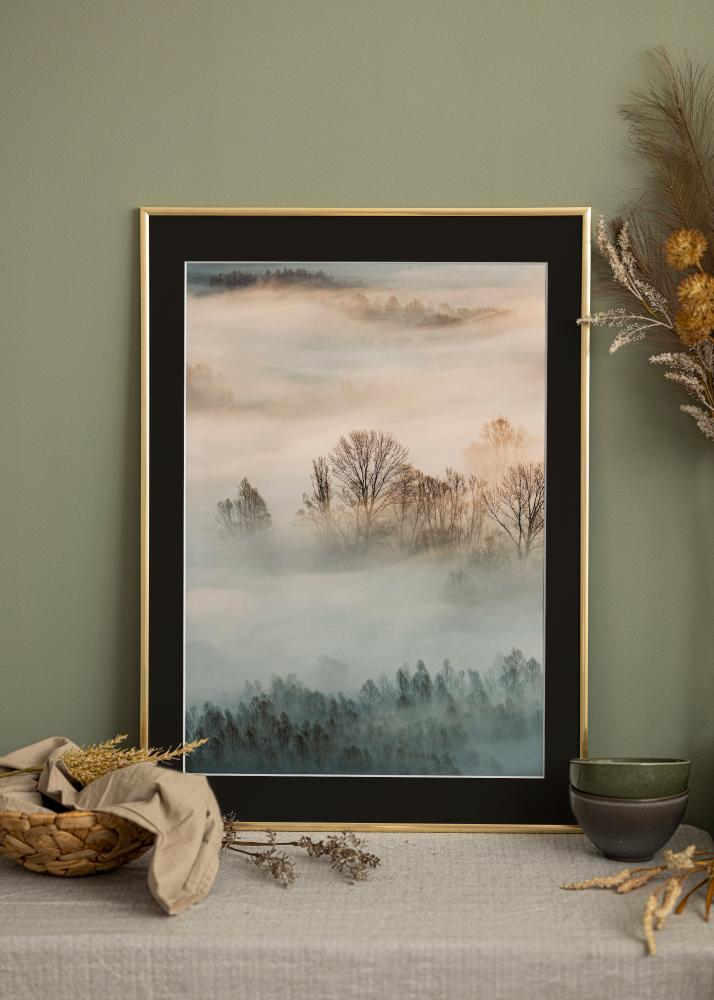 Ram med passepartou Frame New Lifestyle Gold 30x40 cm - Picture Mount Black 21x30 cm