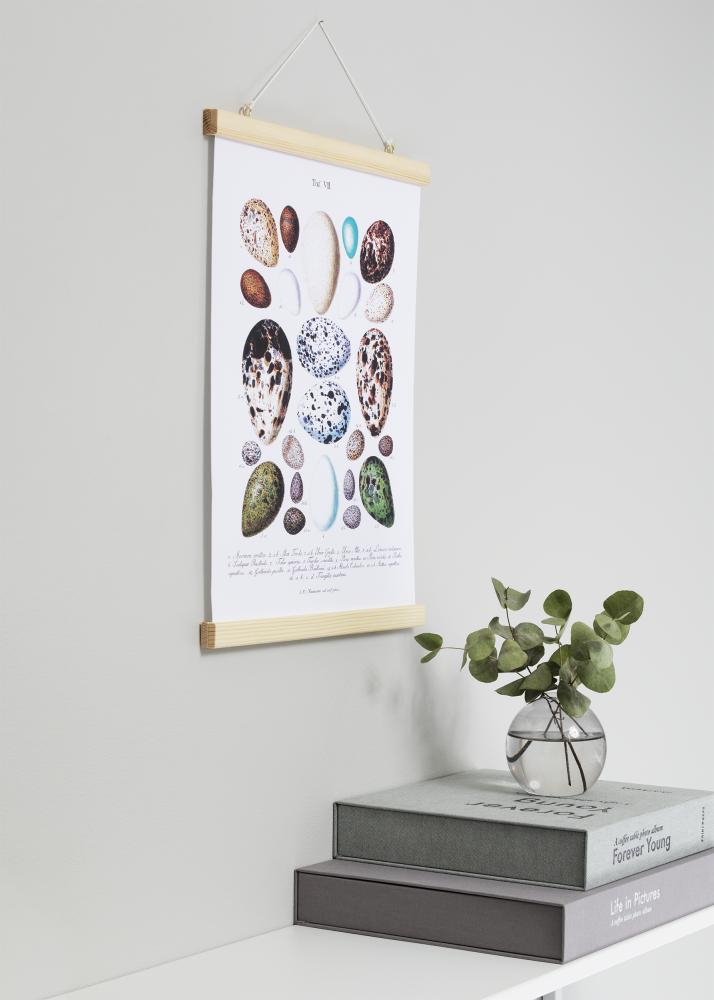 Artlink Poster hangers Nature - 30 cm