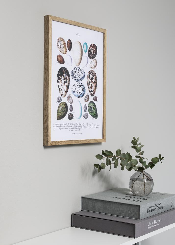 Focus Oak frame with acrylic glass 70x100 cm