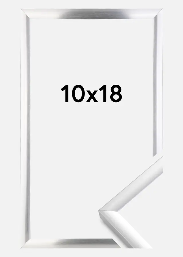 Walther Frame New Lifestyle Silver 10x18 cm