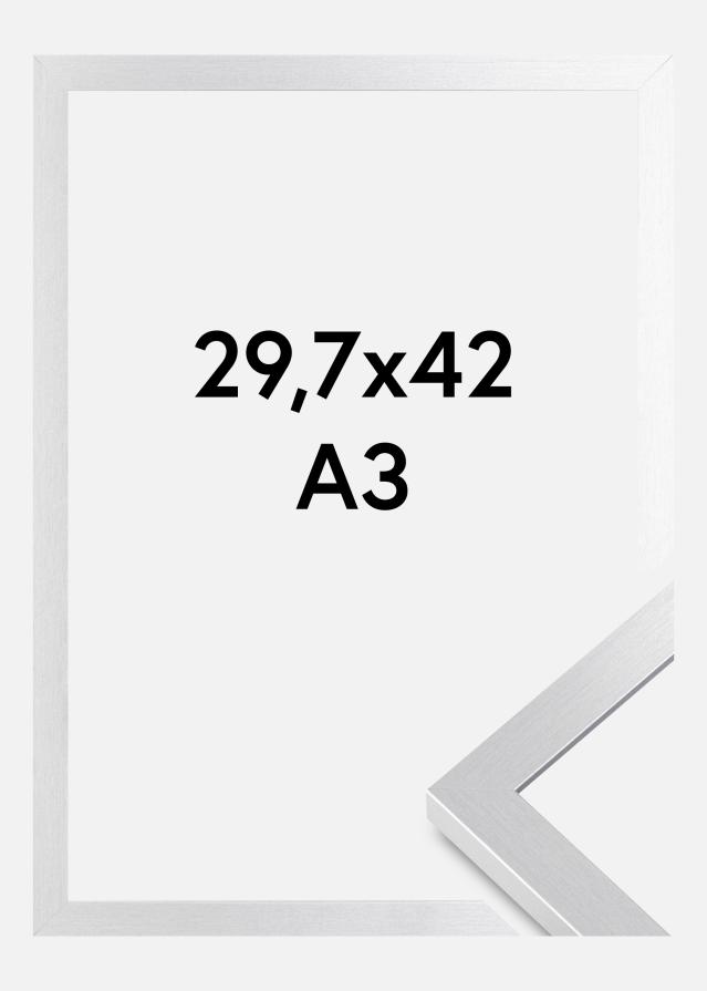 BGA Frame Selection Acrylic Glass Silver 29.7x42 cm (A3)